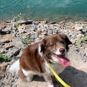 Meet your Posher, Valentina